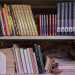 ...scaffali colmi di libri